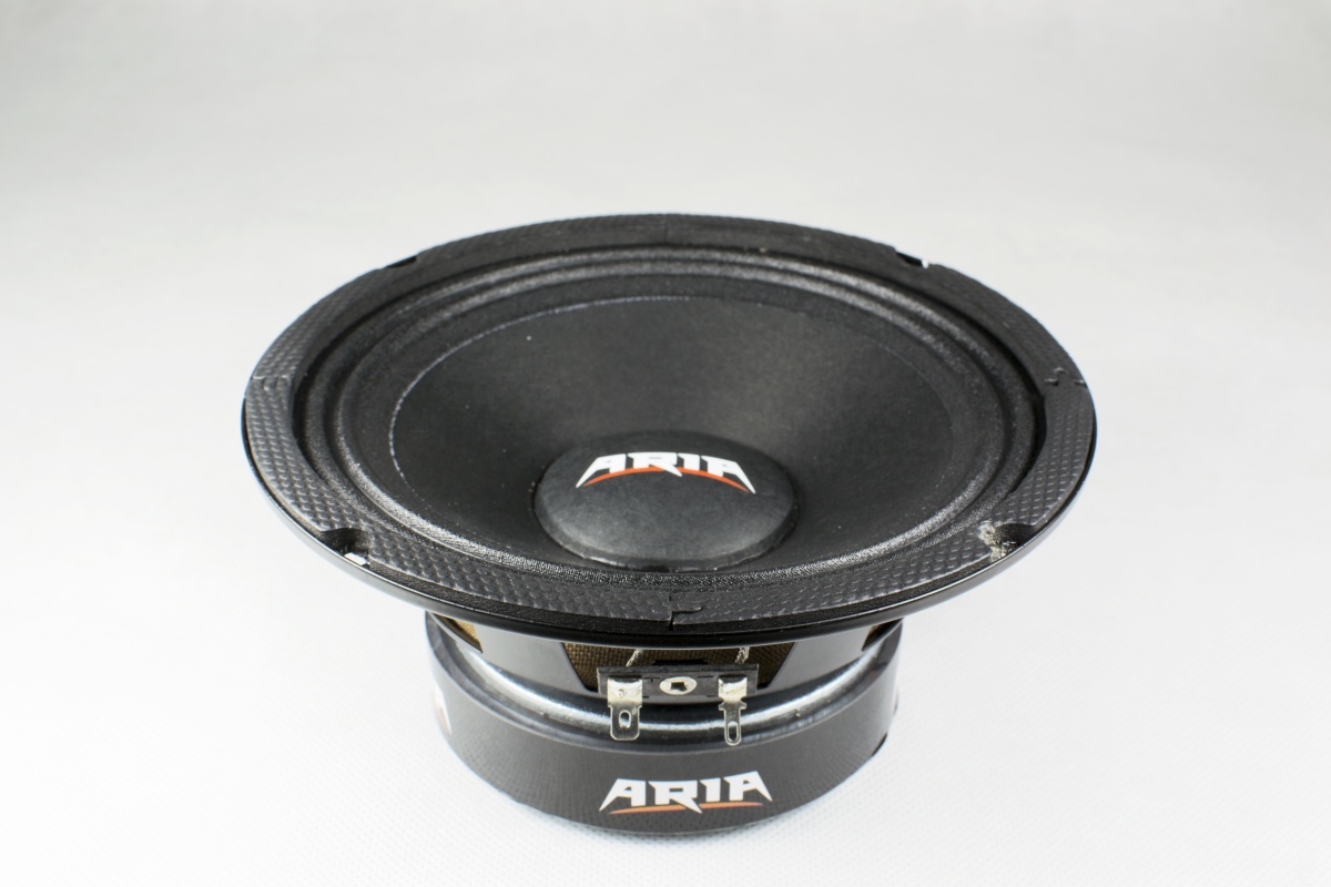 картинка AC 6.5″ эстрадная ARIA BZN-165S купить в магазине CAROBASS
