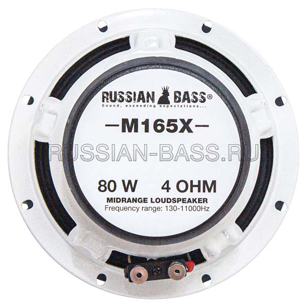 картинка AC 6.5″ эстрадная RUSSIAN BASS M165X купить в магазине CAROBASS