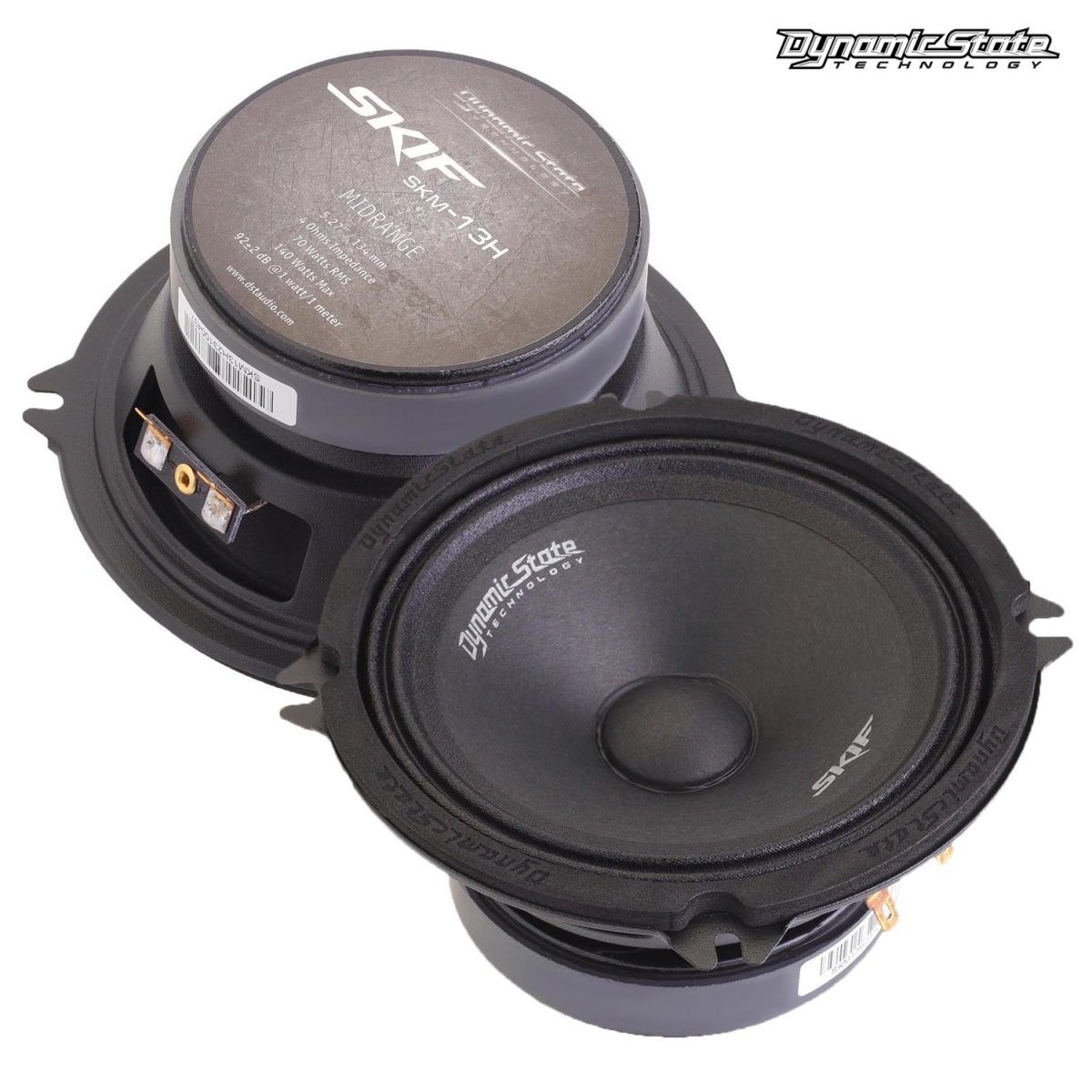 картинка AC 5.25" эстрадная DYNAMIC STATE SKIF SKM-13H купить в магазине CAROBASS