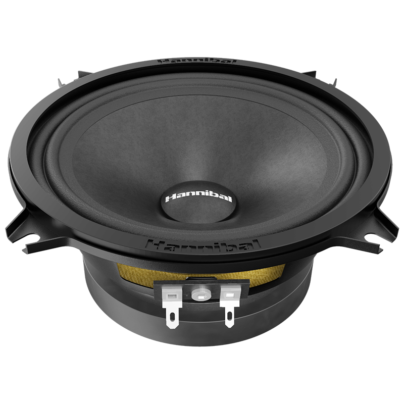картинка AC 5.25" эстрадная DEAF BONCE (ALPHARD) MH-50 купить в магазине CAROBASS