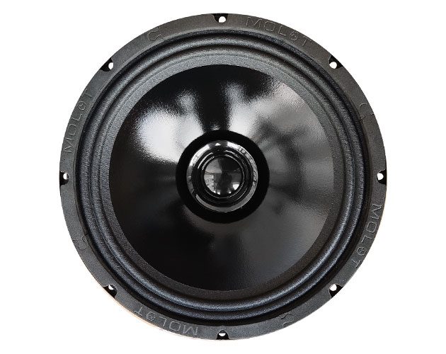 картинка AC 10″ эстрадная URAL (Урал) АС-М250 МОЛОТ купить в магазине CAROBASS