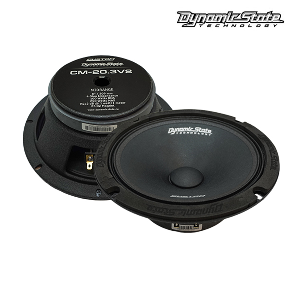 картинка AC 8" эстрадная Dynamic State CM-20.3v2 купить в магазине CAROBASS
