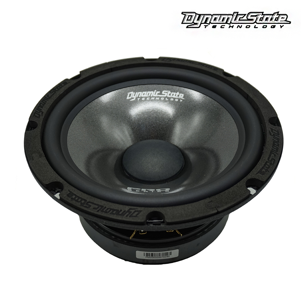 картинка AC 8″ эстрадная Dynamic State PRO PM-200.3 купить в магазине CAROBASS