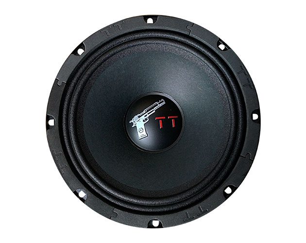 картинка AC 8" эстрадная URAL (Урал) TT 200 купить в магазине CAROBASS