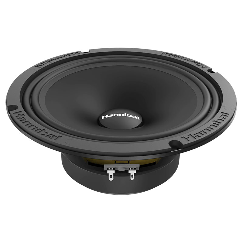 картинка AC 8″ эстрадная DEAF BONCE (ALPHARD) Hannibal MH-81 купить в магазине CAROBASS