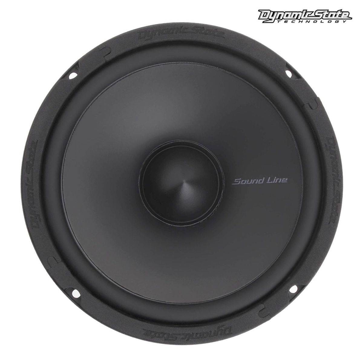 картинка AC 6.5" мидбас Dynamic State SLC-16M купить в магазине CAROBASS