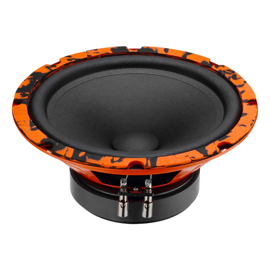 картинка AC 8" эстрадная DL AUDIO Gryphon Pro 200 Midbass купить в магазине CAROBASS
