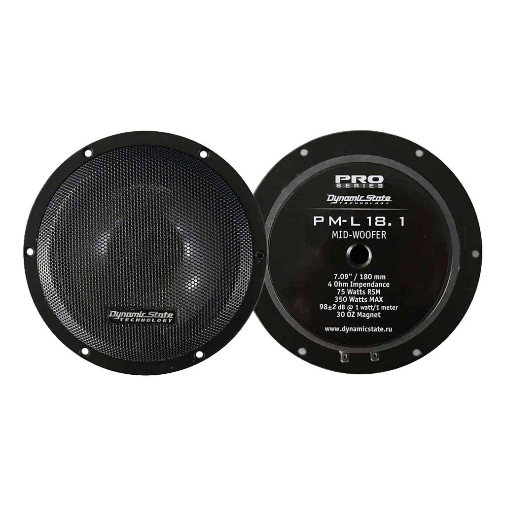 картинка AC 6.5″ эстрадная Dynamic State PM-L18.1 купить в магазине CAROBASS