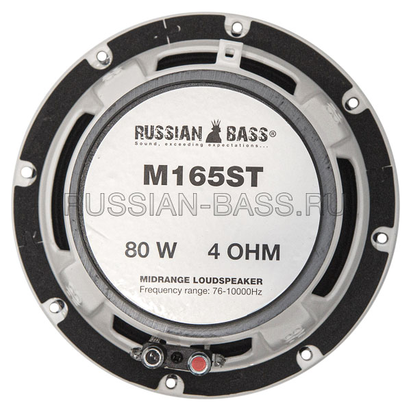 картинка AC 6.5" эстрадная RUSSIAN BASS M165ST купить в магазине CAROBASS