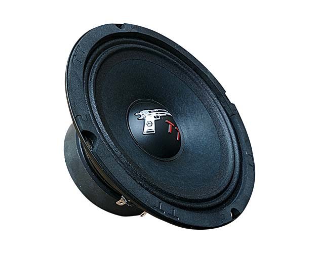 картинка AC 6.5" эстрадная УРАЛ ТТ 165 купить в магазине CAROBASS