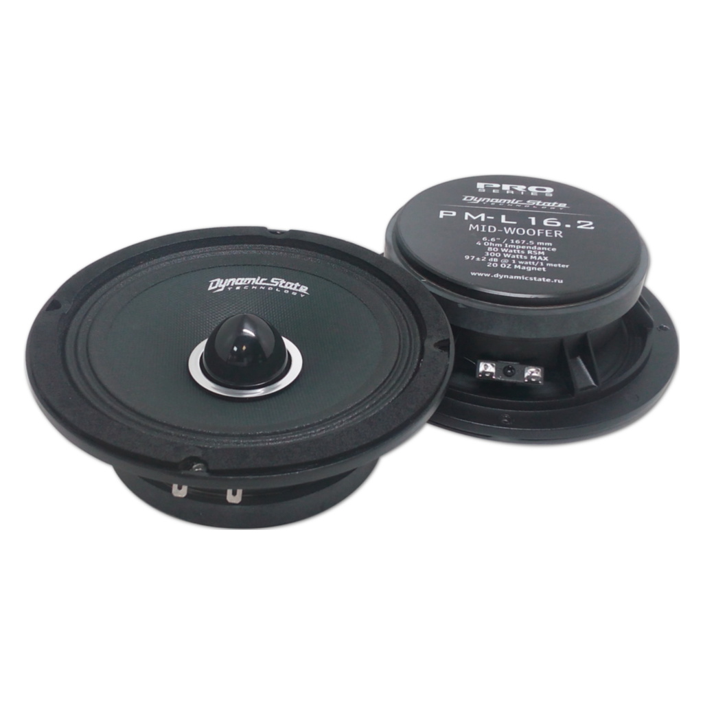 картинка AC 6.5″ эстрадная Dynamic State PM-L16.2 v2 купить в магазине CAROBASS