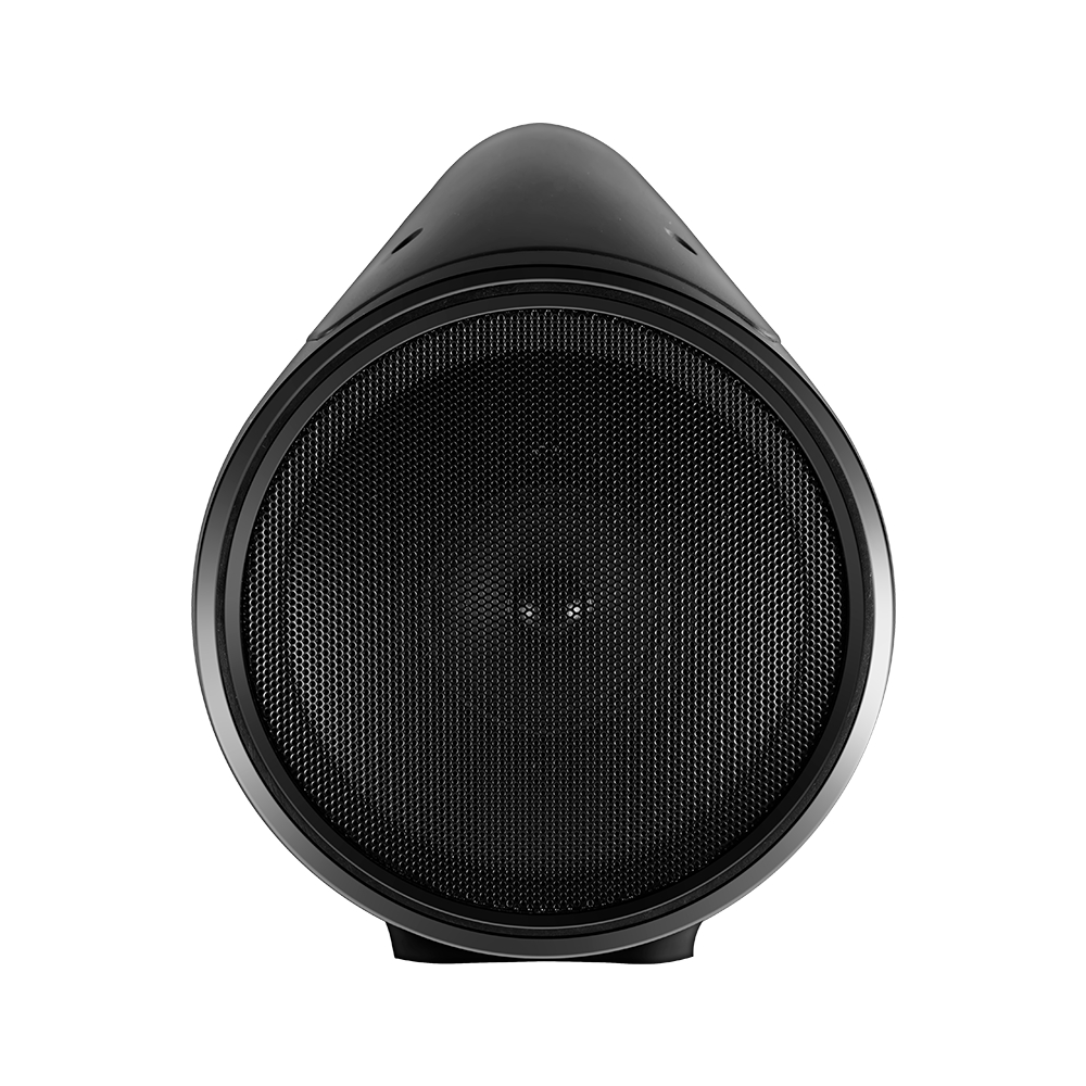 картинка Портативная акустика Ginzzu GM-902B купить в магазине CAROBASS