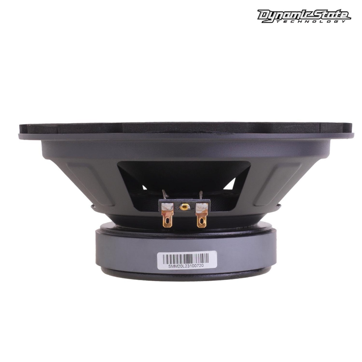 картинка AC 8" эстрадная DYNAMIC STATE SARMAT SMM-20L купить в магазине CAROBASS