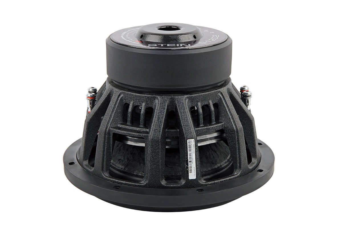 картинка Сабвуфер 12" ACV STEIN S12D2 купить в магазине CAROBASS