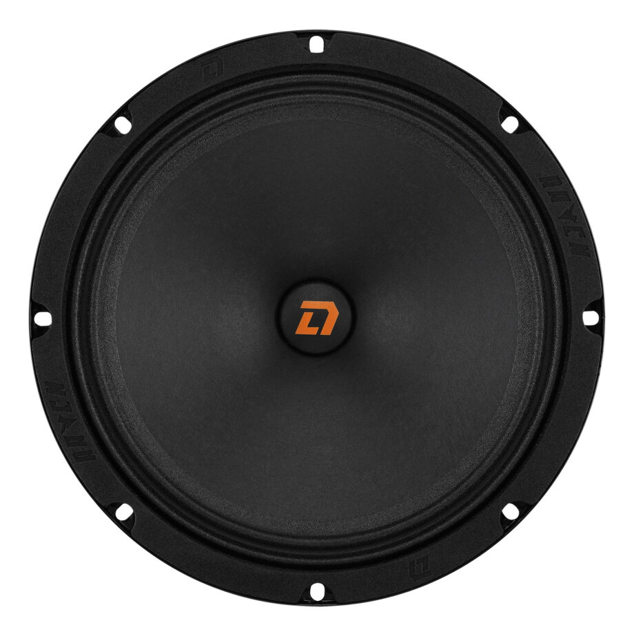 картинка AC 8" эстрадная DL AUDIO Raven 200 купить в магазине CAROBASS