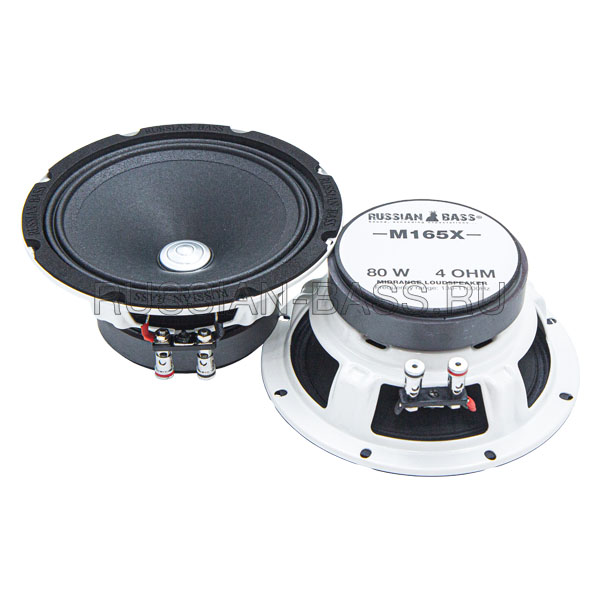 картинка AC 6.5″ эстрадная RUSSIAN BASS M165X купить в магазине CAROBASS