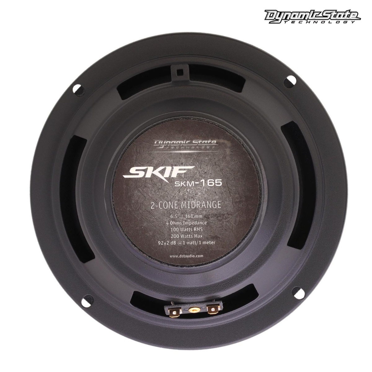картинка AC 6.5" широкополосная DYNAMIC STATE SKIF SKM-165 купить в магазине CAROBASS