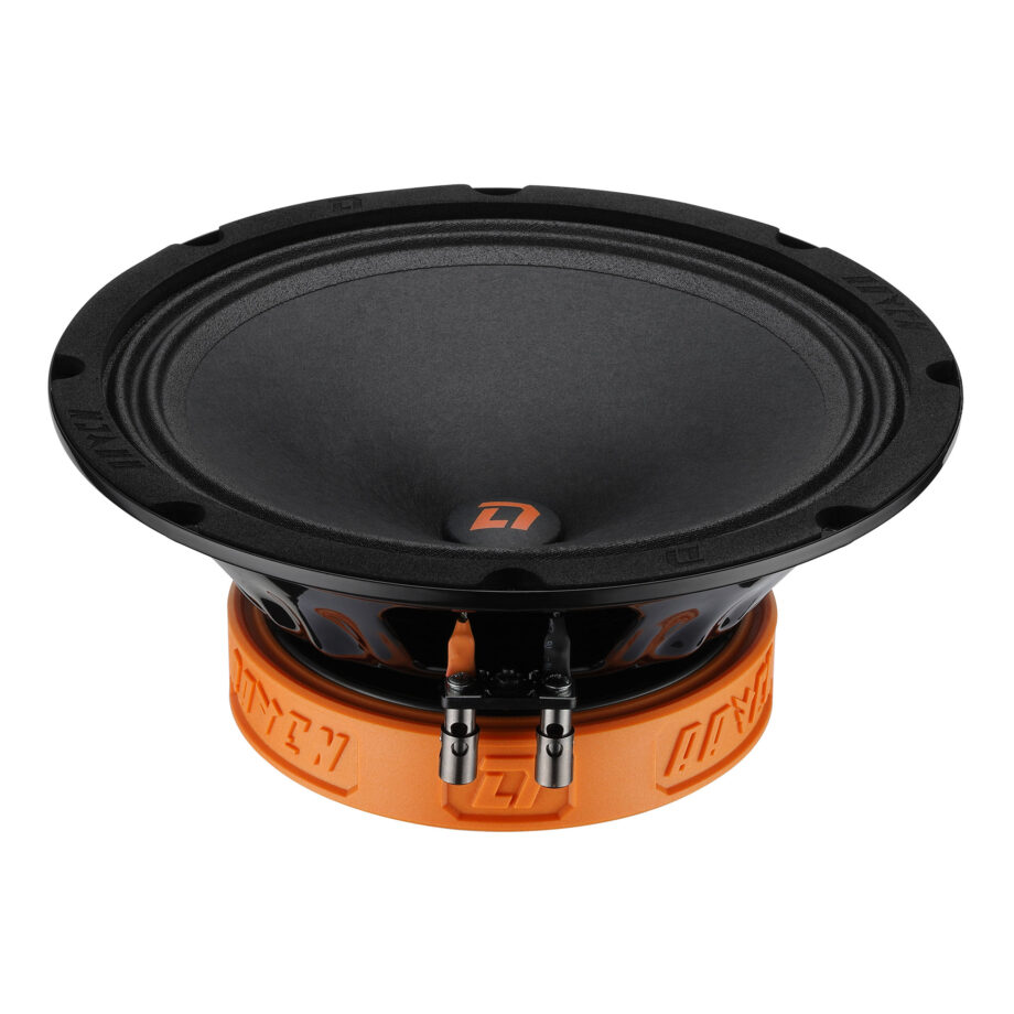 картинка AC 8" эстрадная DL AUDIO Raven 200 купить в магазине CAROBASS