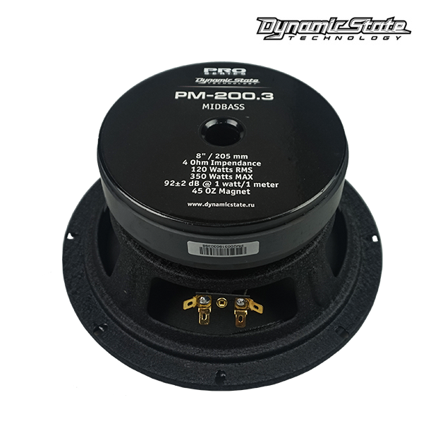 картинка AC 8″ эстрадная Dynamic State PRO PM-200.3 купить в магазине CAROBASS