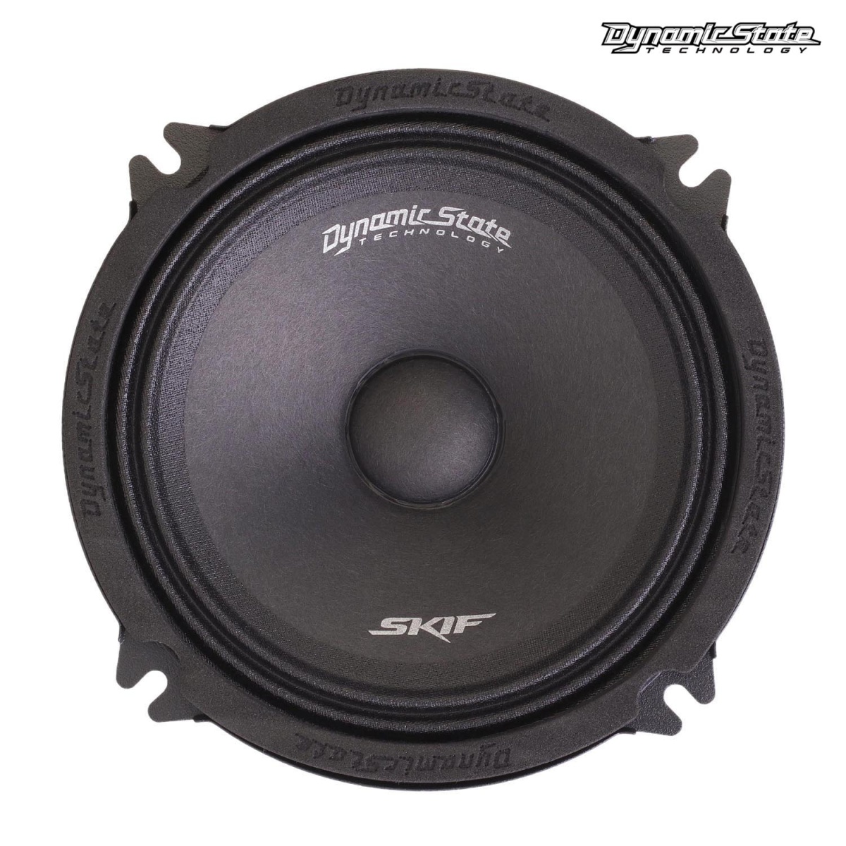 картинка AC 5.25" эстрадная DYNAMIC STATE SKIF SKM-13H купить в магазине CAROBASS