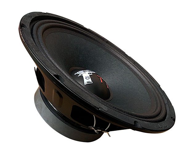 картинка AC 10″ эстрадная URAL (Урал) TT 250 купить в магазине CAROBASS