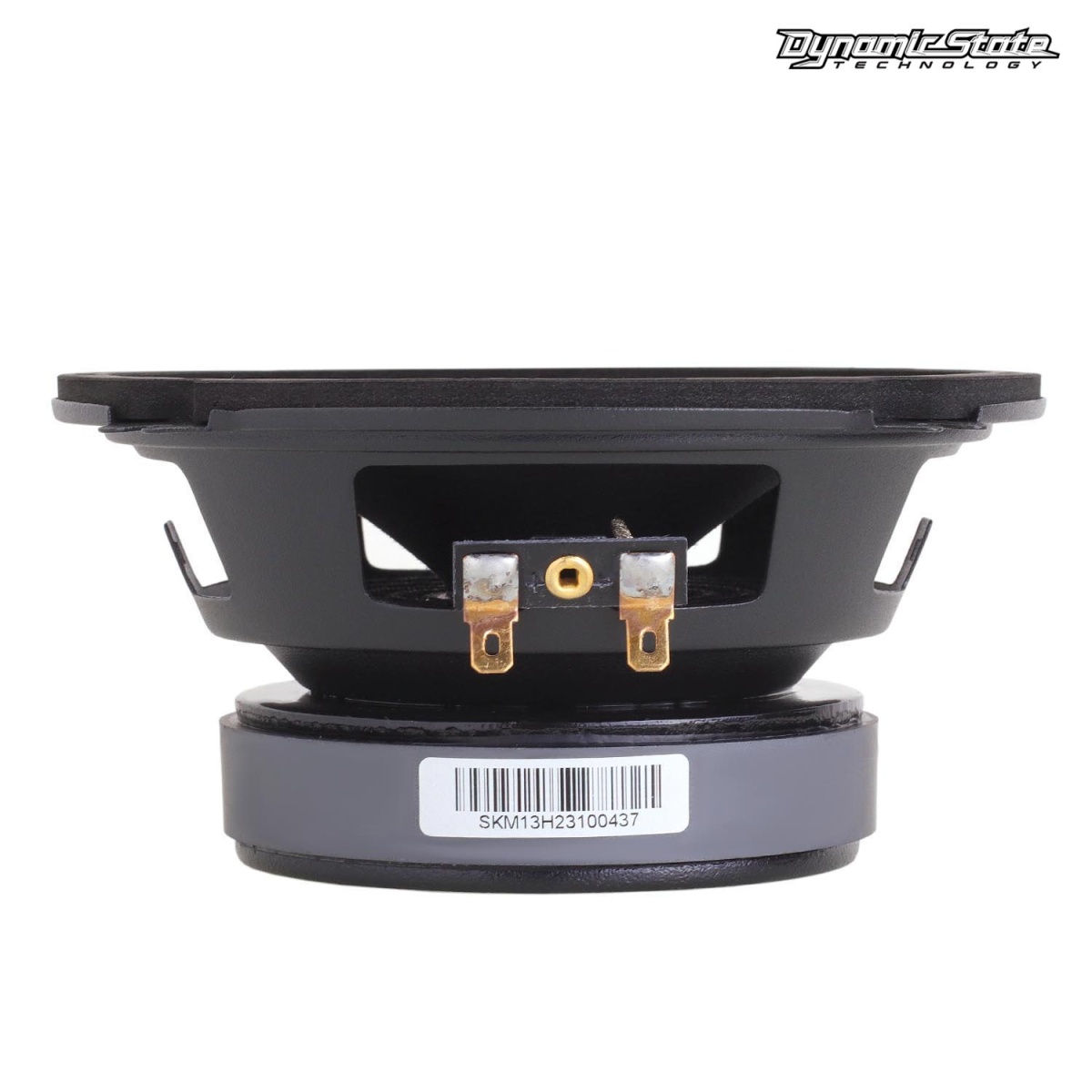 картинка AC 5.25" эстрадная DYNAMIC STATE SKIF SKM-13H купить в магазине CAROBASS
