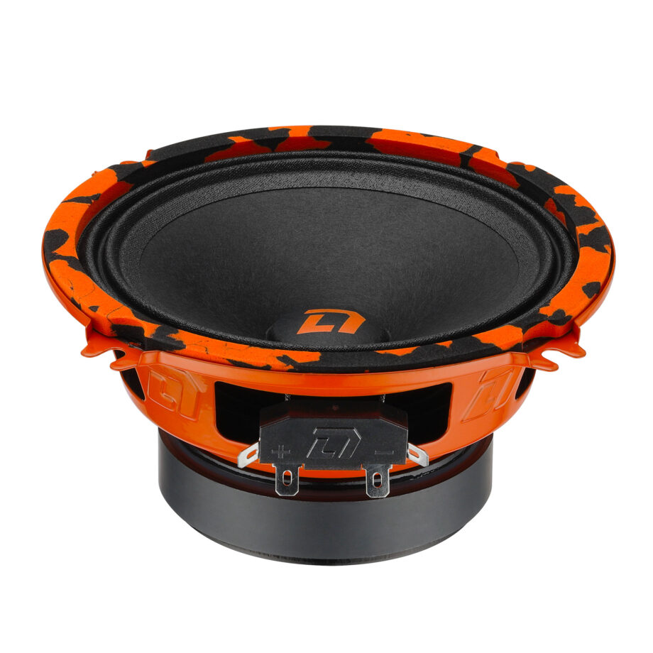 картинка AC 5.25" эстрадная DL AUDIO Barracuda 130 купить в магазине CAROBASS