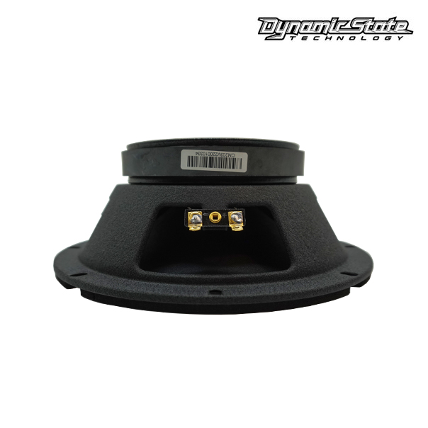 картинка AC 8" эстрадная Dynamic State CM-20.3v2 купить в магазине CAROBASS