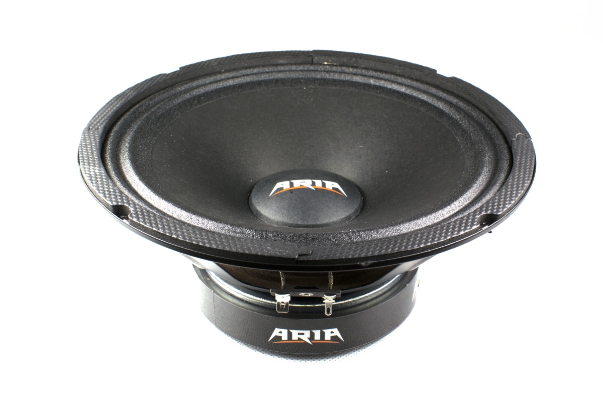 картинка AC 8″ эстрадная ARIA BZN-200S купить в магазине CAROBASS