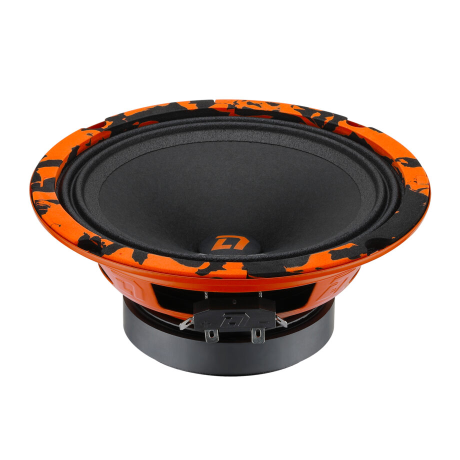 картинка AC 6.5" эстрадная DL AUDIO Barracuda 165 купить в магазине CAROBASS