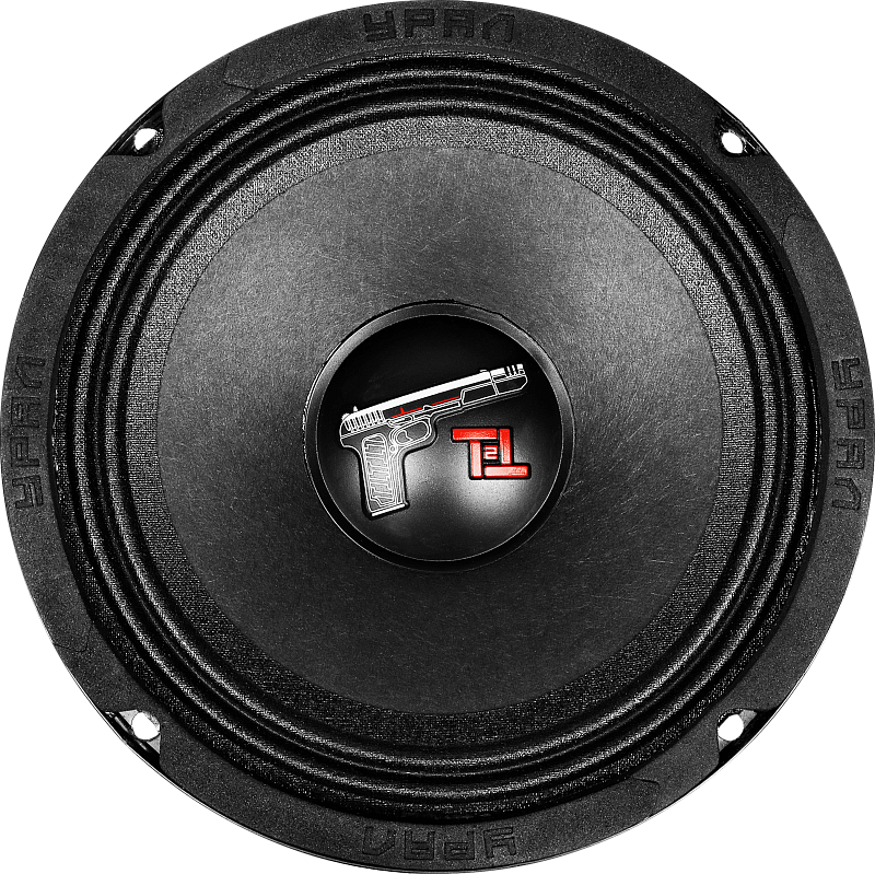 картинка AC 6.5" эстрадная УРАЛ ТТ 165.2 купить в магазине CAROBASS