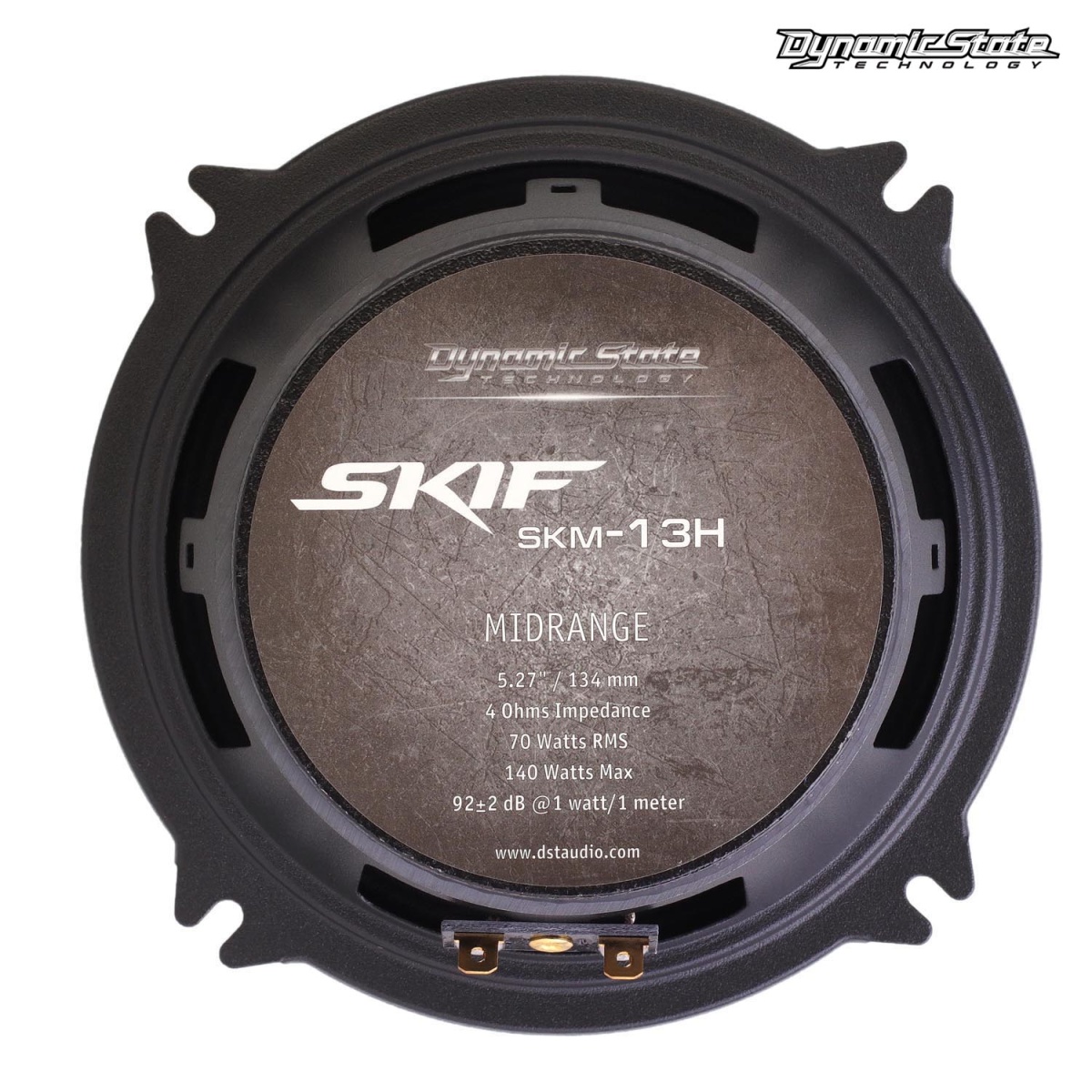 картинка AC 5.25" эстрадная DYNAMIC STATE SKIF SKM-13H купить в магазине CAROBASS