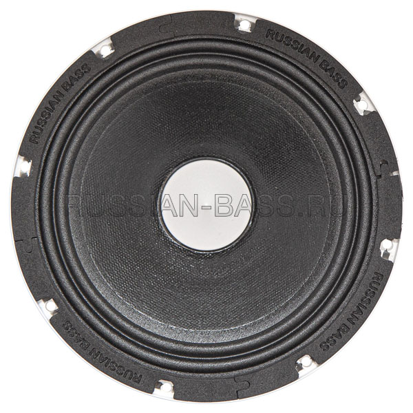 картинка AC 6.5" эстрадная RUSSIAN BASS M165ST купить в магазине CAROBASS