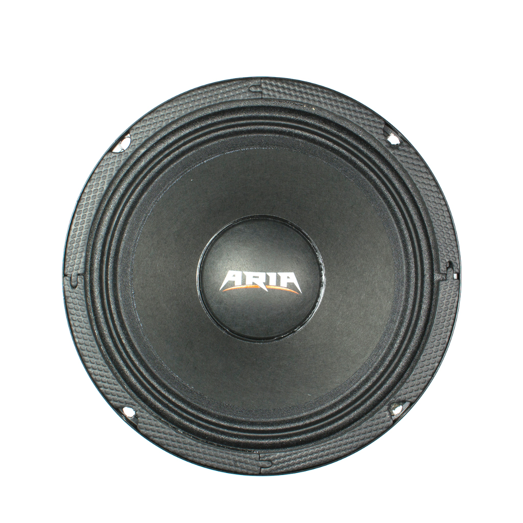 картинка AC 6.5″ эстрадная ARIA BZN-165S купить в магазине CAROBASS