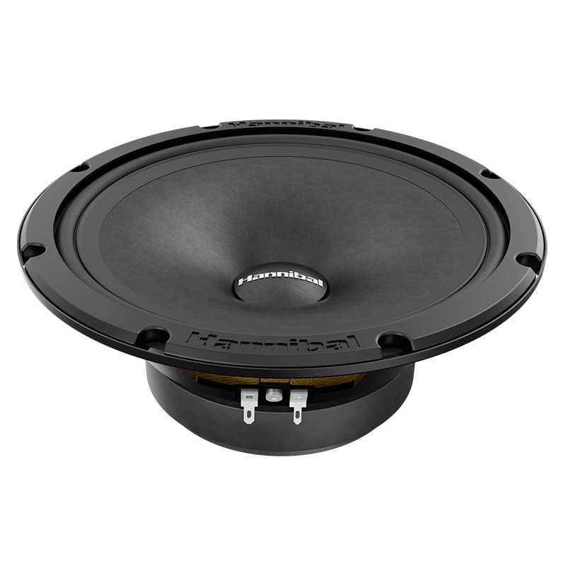 картинка AC 8" эстрадная DEAF BONCE (ALPHARD) Hannibal MH-81 v2 купить в магазине CAROBASS