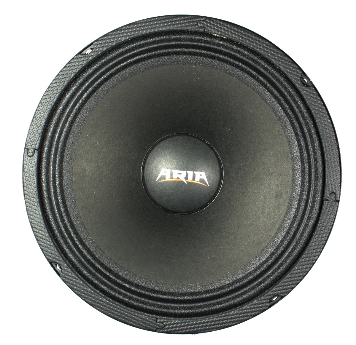 картинка AC 8″ эстрадная ARIA BZN-200S купить в магазине CAROBASS